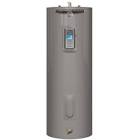 Performance Platinum 63 Imperial Gal Electric Water Heater with 12 Year Warranty 667928 Rheem