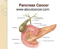 Pancreatic cancer patients and families still need you. Pancreas Cancer