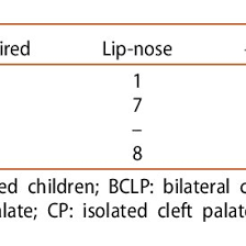 cleft clinic