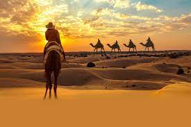 abu dhabi tour desert safari i