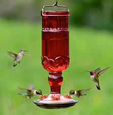 A hummingbird feeder should be durable, easy to refill, and simple to clean. Perky Pet Red Antique Bottle Glass Hummingbird Feeder Model 8119 2