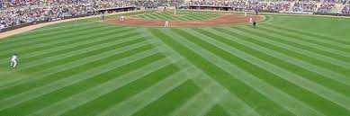 The colors are gorgeous & the renderings leave you feeling as if you are. Major League Baseball Ballpark Grass And Turf