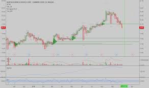 Newt Stock Price And Chart Nasdaq Newt Tradingview