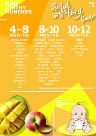 Solid Food Guide 4 12 Months Mini Muncher