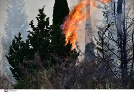Κατασβέστη η φωτιά που εκδηλώθηκε στις 4 περίπου το μεσημέρι στην περιστέρα της δυτικής αχαΐας, έχοντας κάψει 10 στρέμματα γεωργικής . Rybsryvnjeg2am