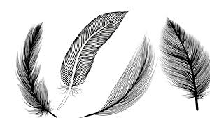 black and white feather meaning