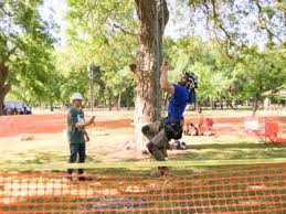 The tree service georgetown tx relies on for complete tree care is arbor oaks. To Do List 15 Georgetown Events Happening In May And June Community Impact