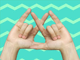 The 24 Coolest Sorority Hand Symbols Sororities