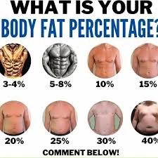 what is your body fat percene 10