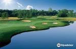 Forest City National Golf Club attraction reviews - Forest City ...