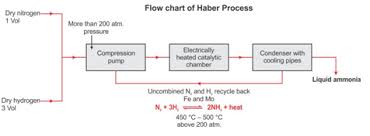 How To Prepare Ammonia By Haber Process Chemistry