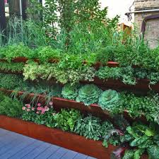 75 Rooftop Vegetable Garden Landscape