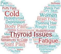 Indian Diet Plan For Hypothyroidism Weight Loss In