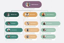 what is an org chart and how to make
