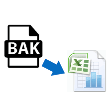 export data from a bak file to excel