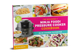 ninja foodi cookbook bitz giggles