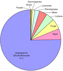 Invasive Species Pie Chart Chart Diagram Pie