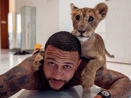 Memphis depay's 47 tattoos & their meanings memphis depay , popularly known as memphis , is a professional dutch football player who is famous for dribbling, his pace, ability to cut inside, and ability to play the ball off the ground. Man Utd Flop Memphis Depay Channels His Inner Tiger King In Home Photo With Liger Daily Star
