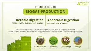 Know About Biogas Production | Organica Biotech