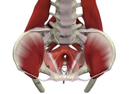 back pain caused by your pelvic floor
