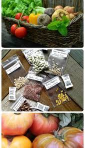 growing heirloom seeds tips for success
