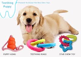 best puppy chew toys for teething puppies