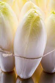 how to cook and serve belgian endive