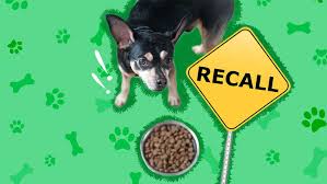 dog food recall every brand that s