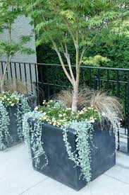 Potted Plants Outdoor Garden Containers