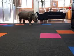 commercial flooring solutions