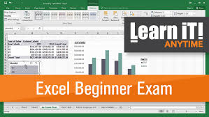 Microsoft Excel Certificate Exam Beginner Learn It Anytime