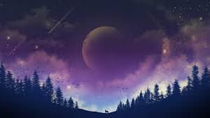 night sky moon forest scenery