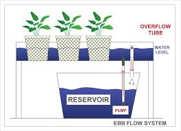 diy ebb and flow hydroponic system