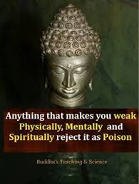 Image result for free online teaching/coaching by Buddha in his winning own word quotes in chronological order for welfare, happiness and peace with animated images and videos
