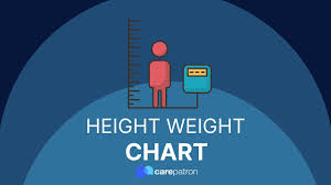 height weight chart exle free