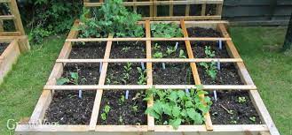 planning a square foot vegetable garden