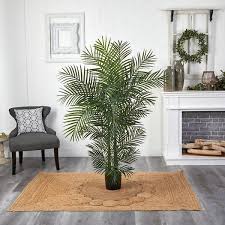 Indoor Outdoor Areca Palm