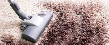carpet and upholstery stain removal in