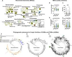 Deep Metagenomics Examines The Oral Microbiome During Dental