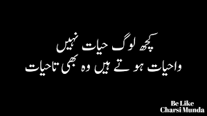 If you like, please share with your friends and lovers on. Like Mh Friends Funny Quotes In Urdu Urdu Funny Quotes Poetry Funny