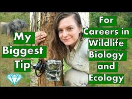 Best Job Websites For Wildlife Biology And Ecology Dr