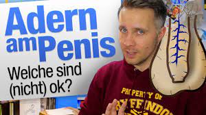 Adern penis