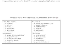 Solved Arrange The Following Terms In A Flow Chart Rna