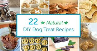 diy natural dog treats