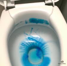 blue toilet cleaner stains