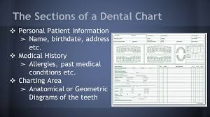 Chapter 17 5 Charting Conditions Of The Teeth Ppt Video