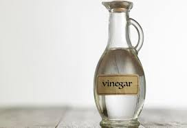 vinegar pregnancy test how to perform