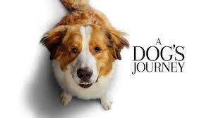 Compared to a dogs way home, this movie is a masterpiece. A Dog S Journey Home Facebook