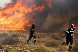 Jun 05, 2021 · φωτιά ξέσπασε το απόγευμα του σαββάτου στις γραμμές του προαστιακού στην κόρινθο. Korin8os Mia Syllhpsh Gia Thn Fwtia Sto Kalentzi Se E3eli3h H Pyrkagia Sofokleousin