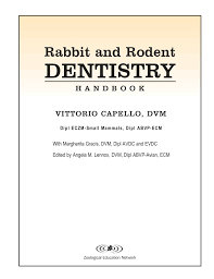 Rabbit And Rodent Dentistry Pages 1 22 Text Version